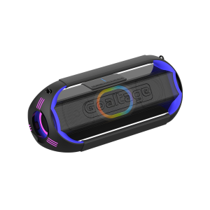 اسپیکر گلتیج مدل SP11