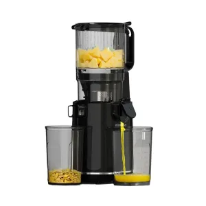 اب میوه گیری پرس سرد پرودو  porodo cold press slow juicer PD-LFST058