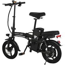 دوچرخه برقی گرین لاین Green Lion Electric Bike GBK-100 a